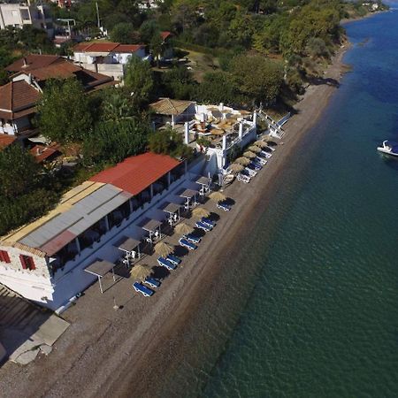 Taradella Hotel Alissos Екстериор снимка