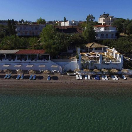 Taradella Hotel Alissos Екстериор снимка